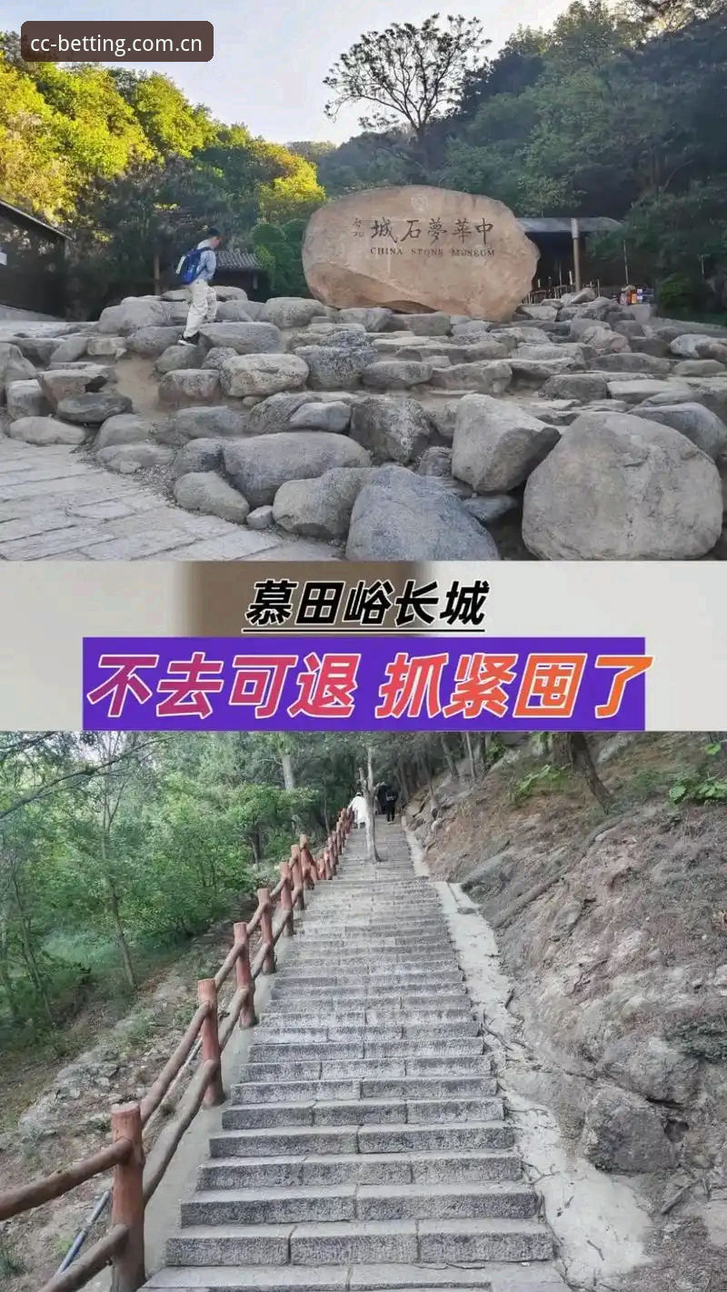 长城体育PC版最新动态：v2.1.0版本升级带来全方位体育体验升级